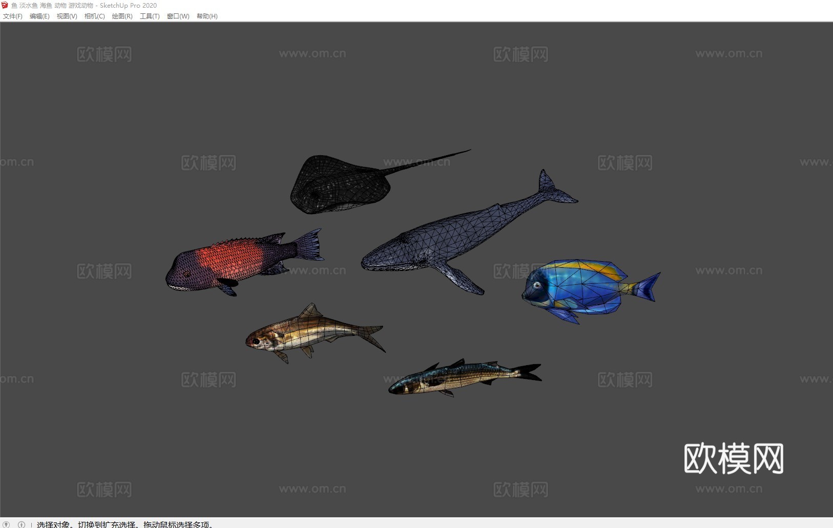 鱼 淡水鱼 海鱼 动物 游戏动物su模型