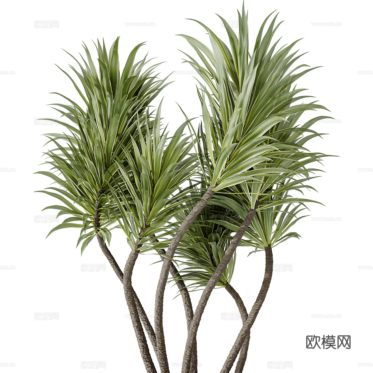 新中式绿植盆栽3d模型