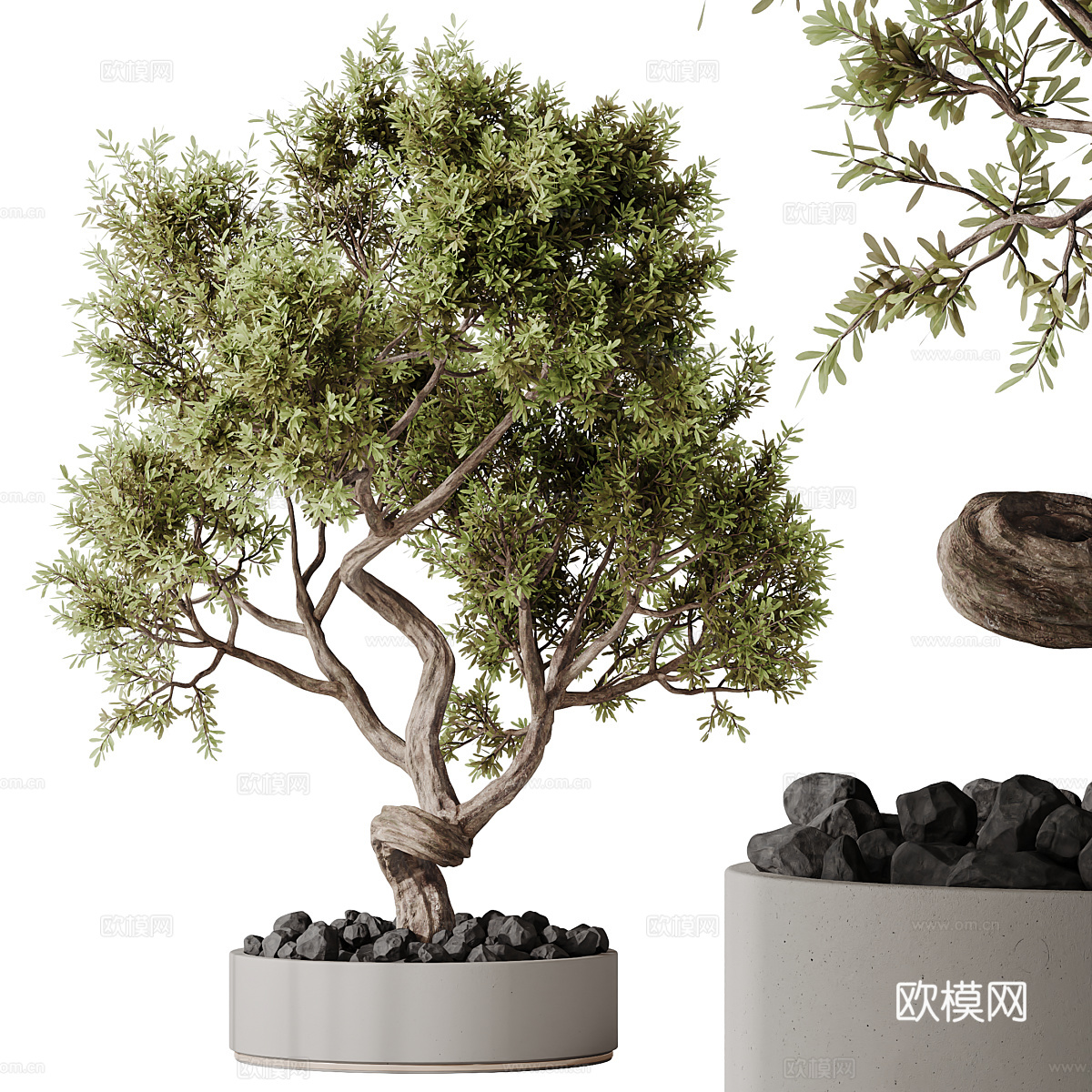 新中式绿植盆景3d模型
