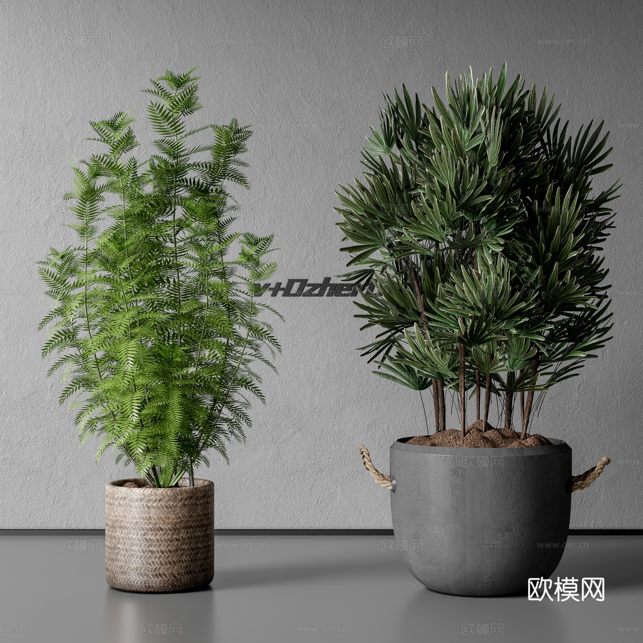 现代绿植盆栽su模型
