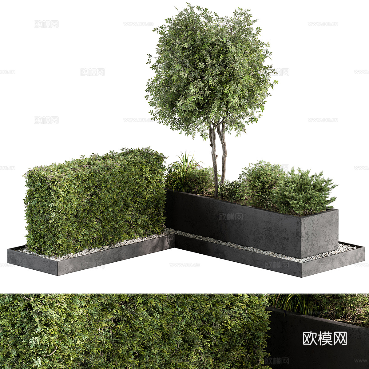 现代庭院绿植3d模型