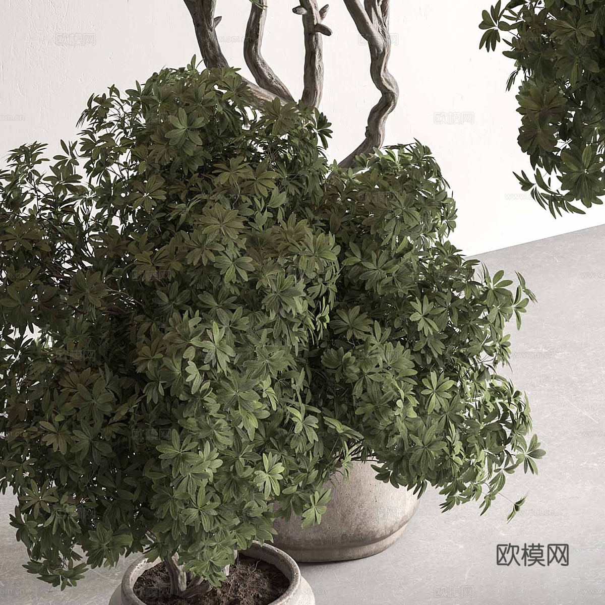新中式绿植盆栽3d模型