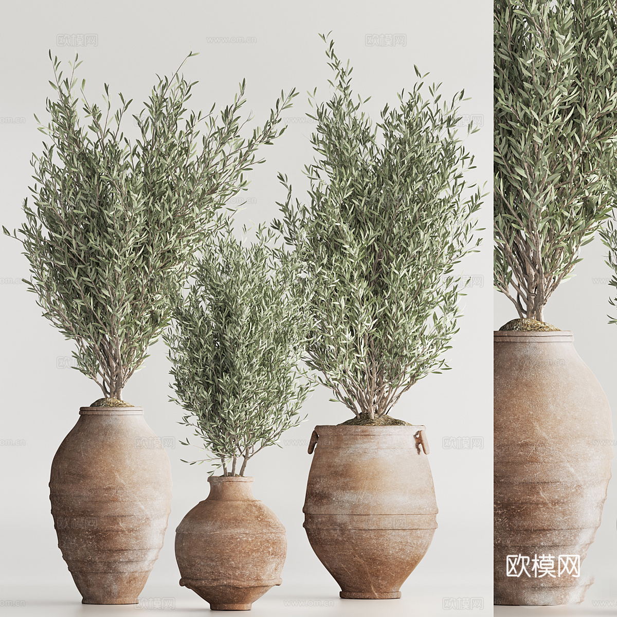 新中式侘寂绿植盆栽3d模型