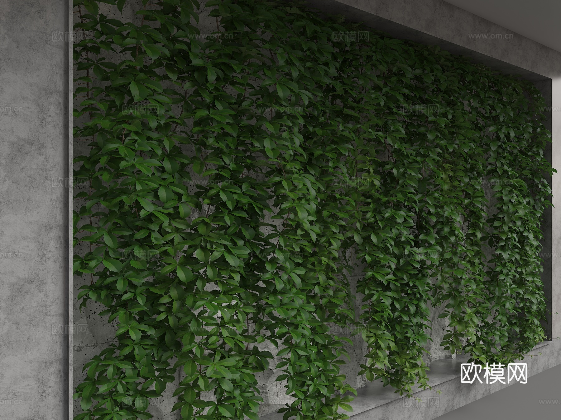 植物背景墙3d模型