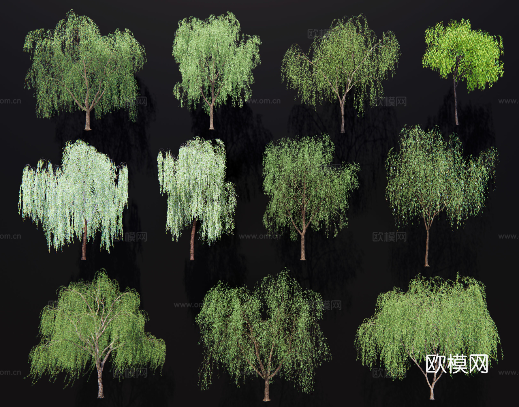 柳树 垂柳 杨柳 旱柳 行道树 风动杨柳 滨水湿地植物大乔木3d模型