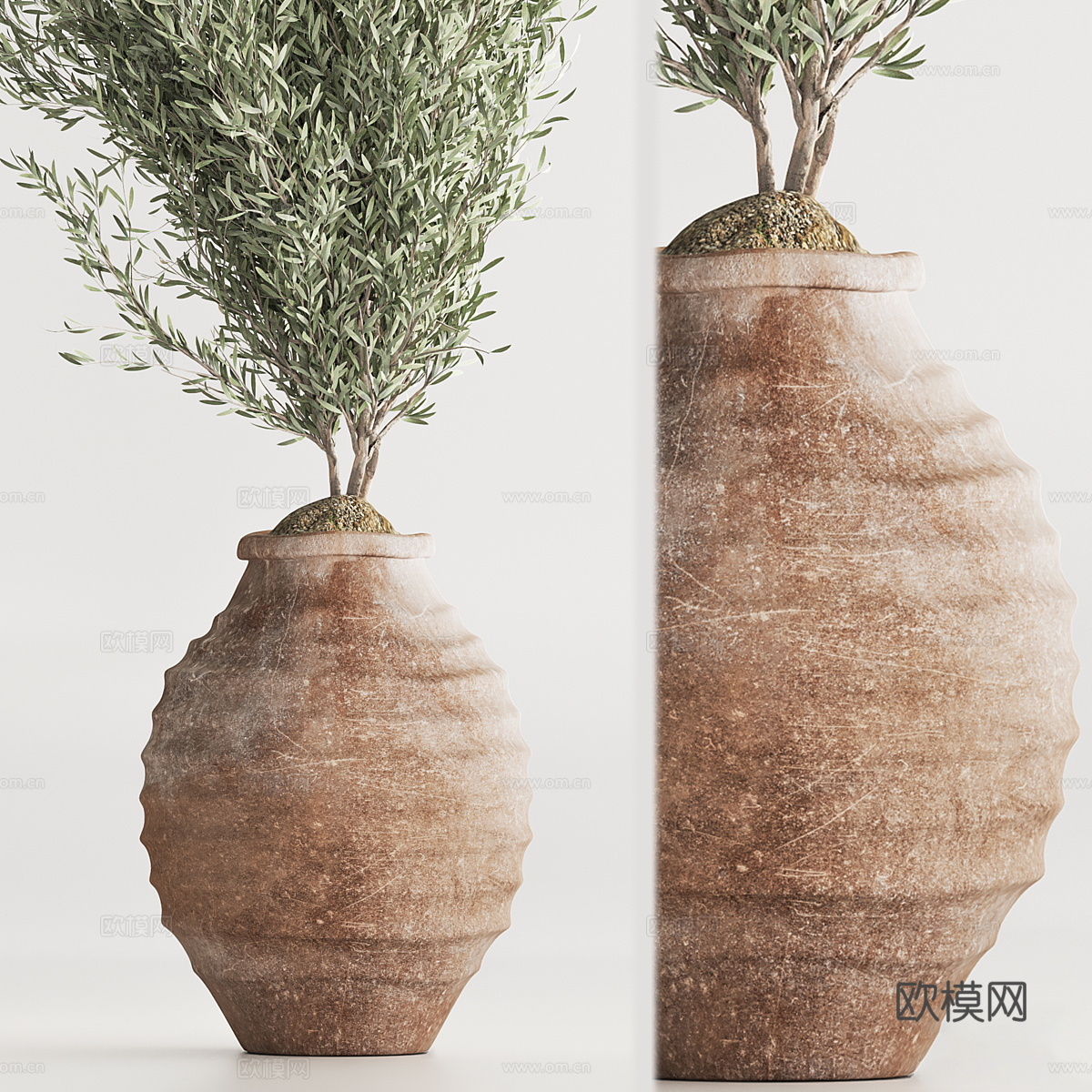 新中式侘寂绿植盆栽3d模型