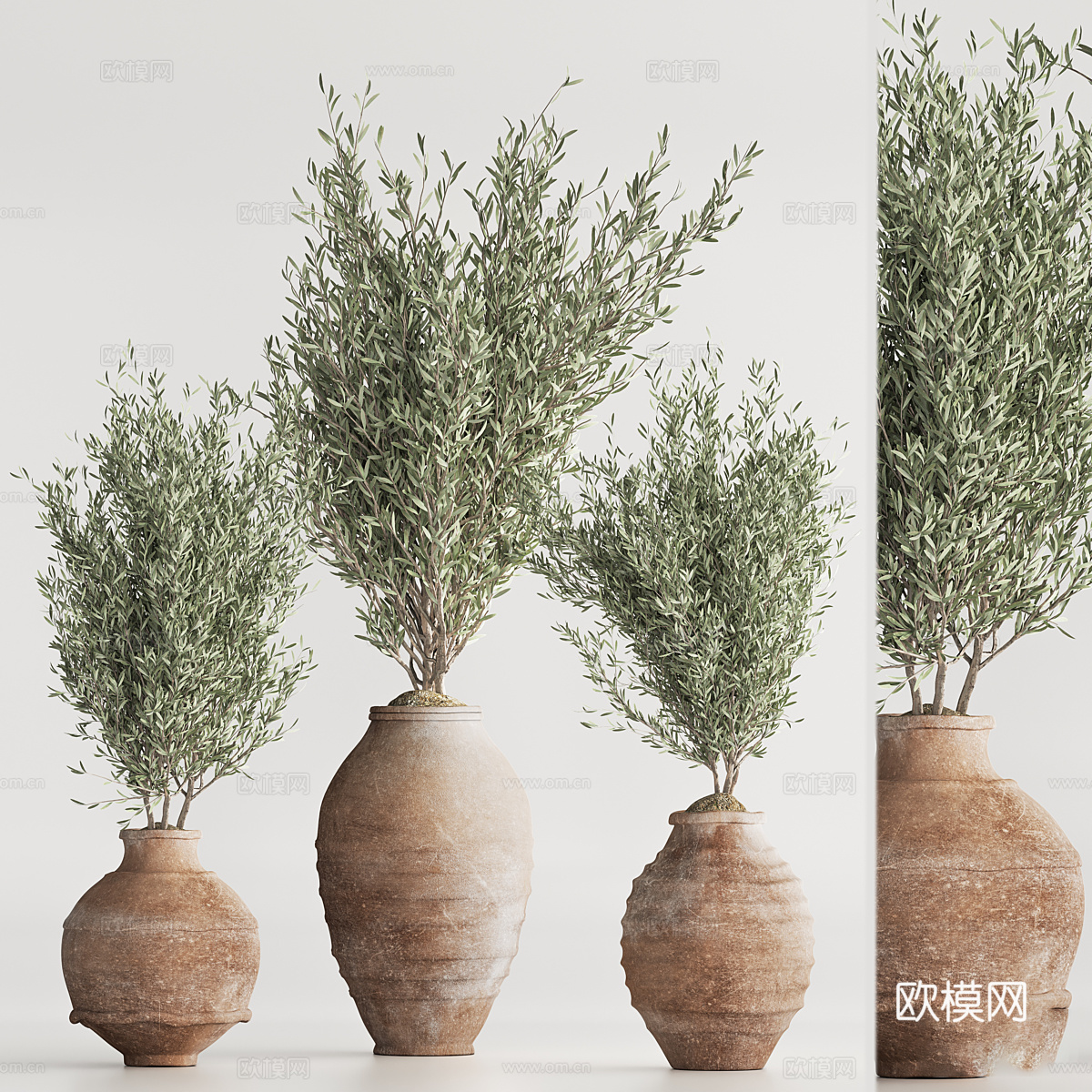 新中式侘寂绿植盆栽3d模型