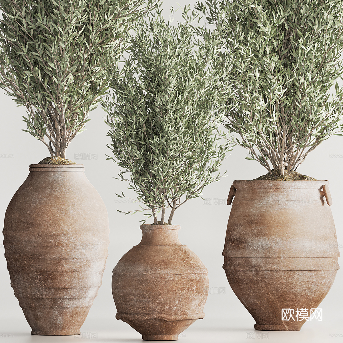 新中式侘寂绿植盆栽3d模型