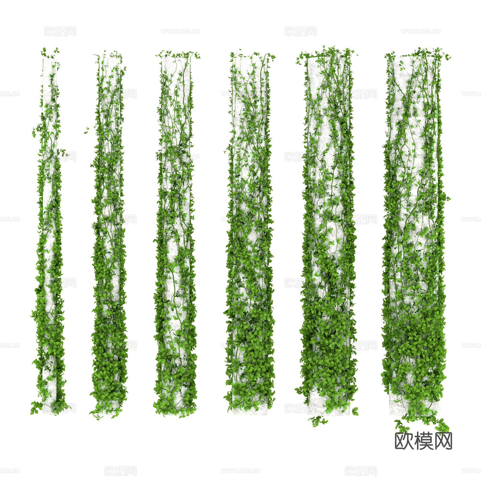 现代藤蔓植物 室内造景绿植3d模型