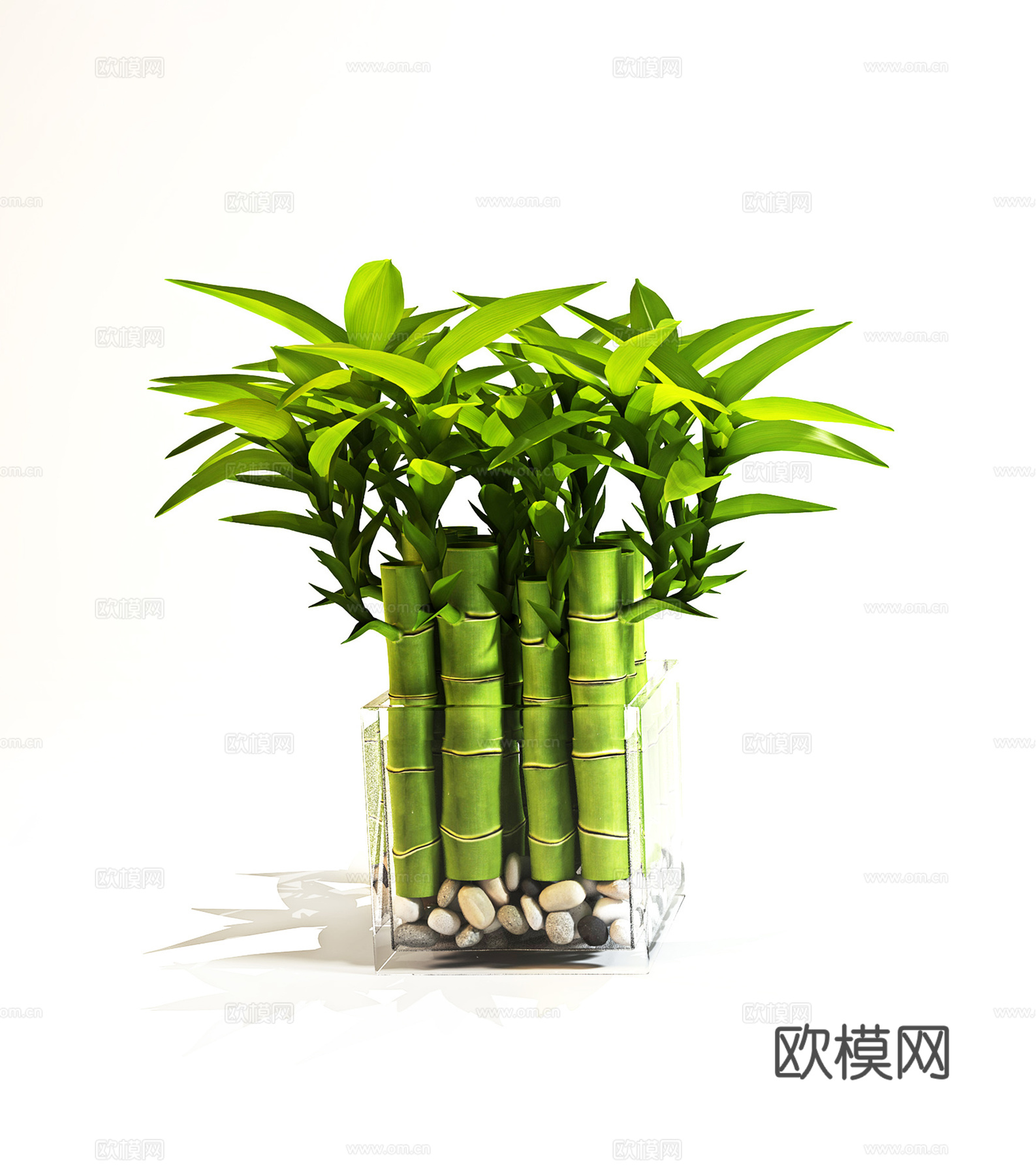 现代盆景  绿植盆栽 花瓶花艺3d模型