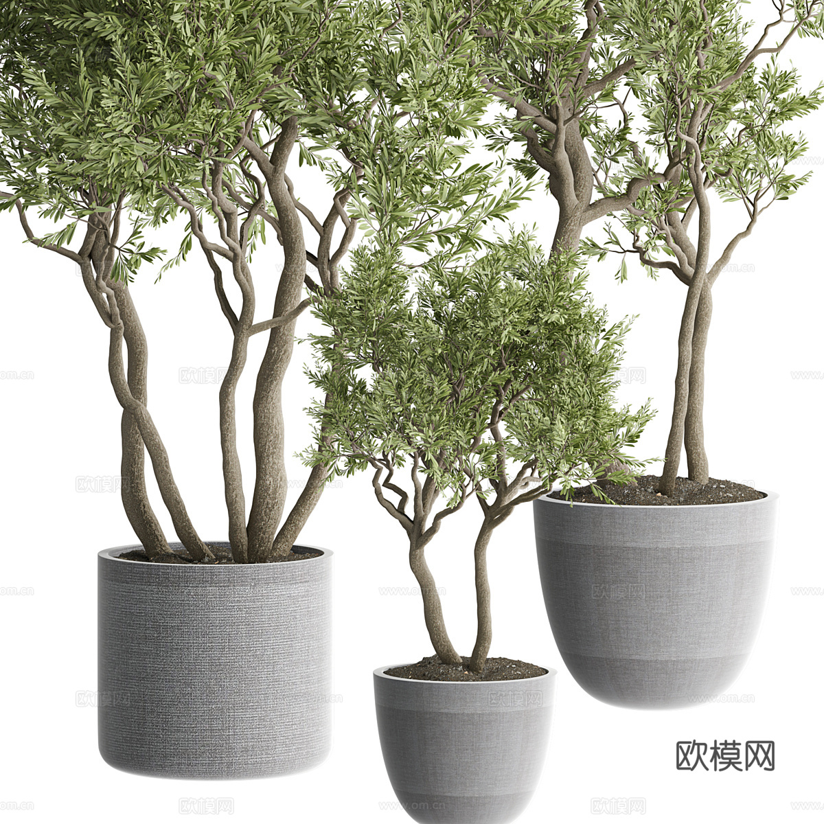 新中式侘寂绿植盆栽3d模型