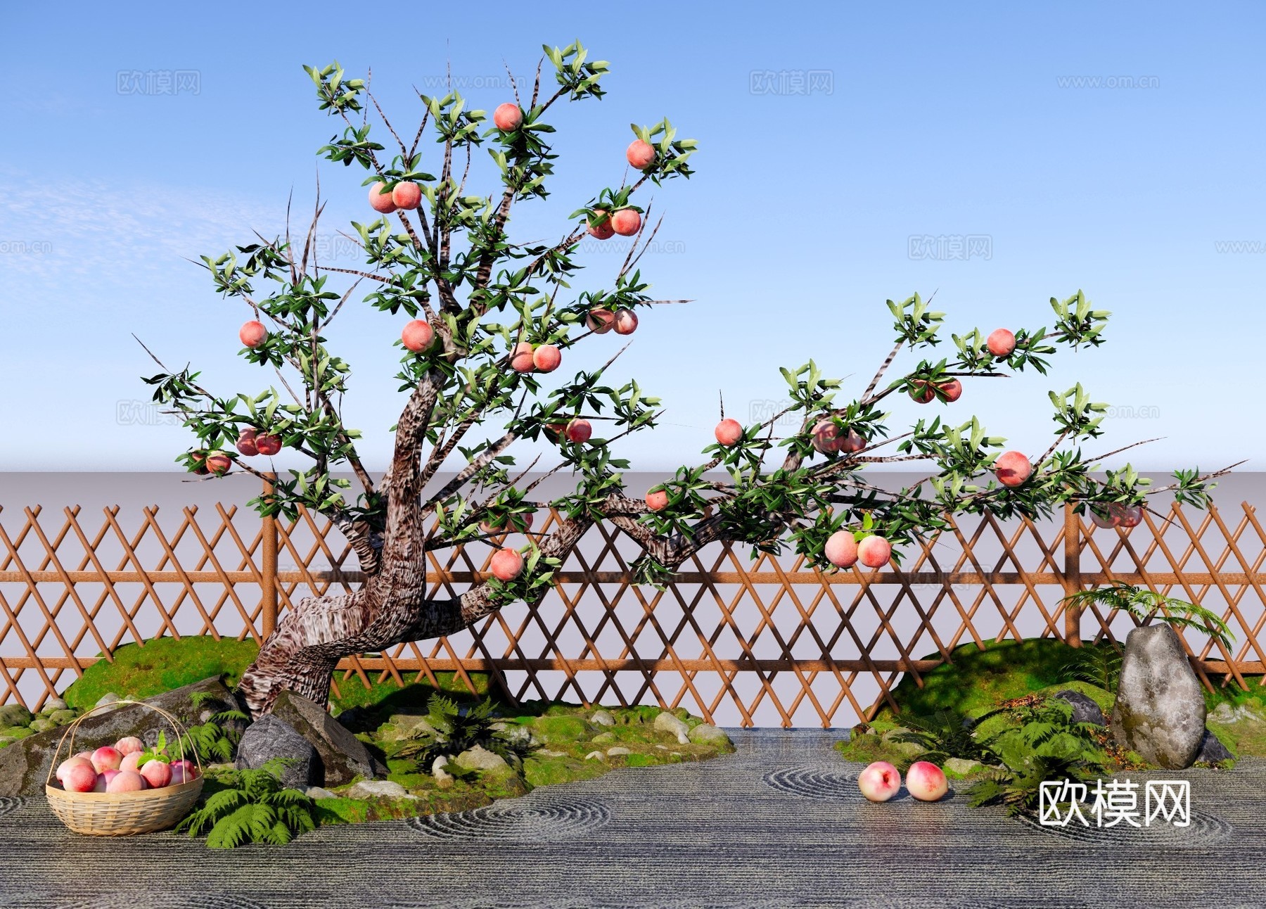 乔木 庭院桃子树 景观造型桃树 农业种植果树 桃子采摘 园林su模型