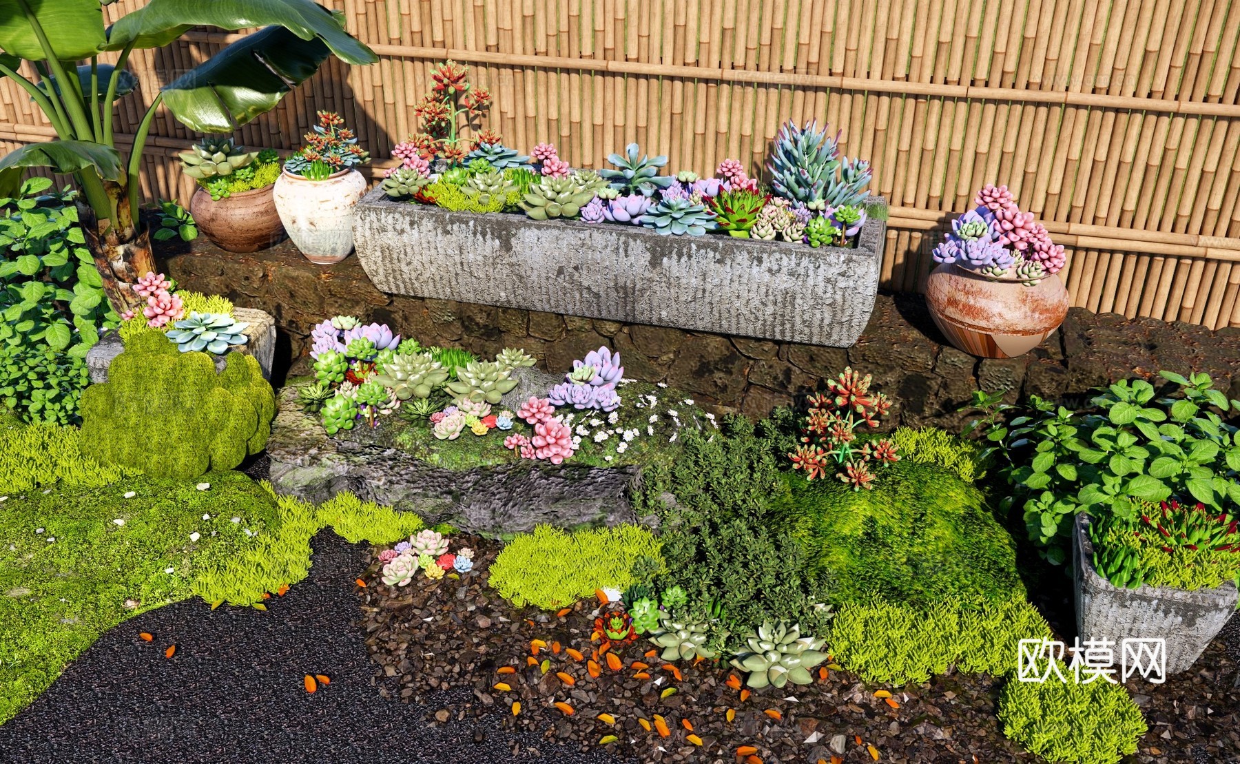 花草 多肉植物组合 庭院多肉植物花境 庭院花草植物造景 多肉su模型