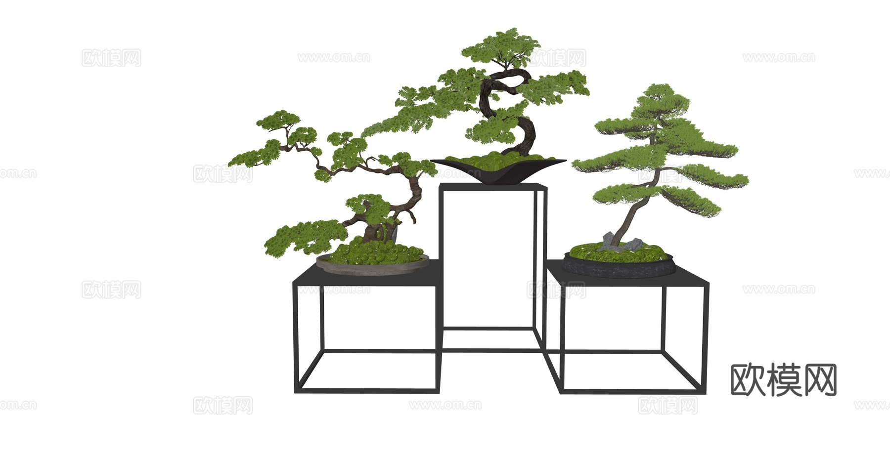 新中式禅意盆景组合 紫砂椭圆盆​​老鸦柿 玄黑磨砂浅钵黑松su模型