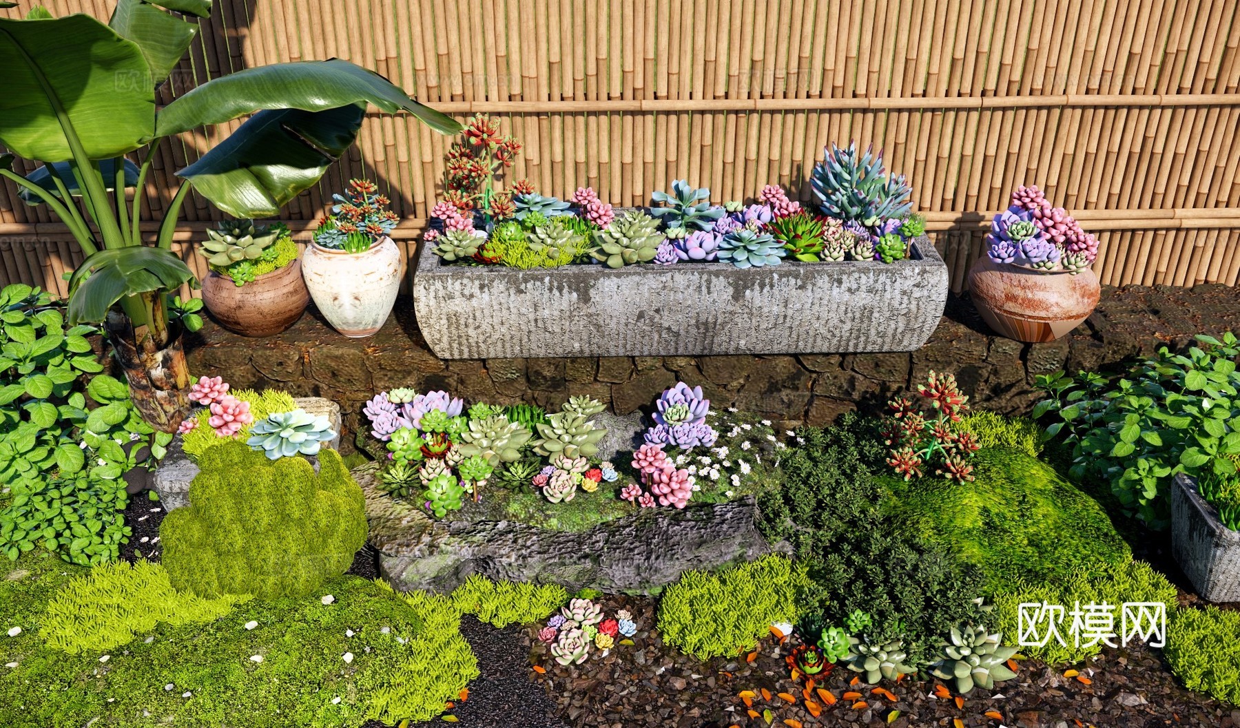 花草 多肉植物组合 庭院多肉植物花境 庭院花草植物造景 多肉su模型
