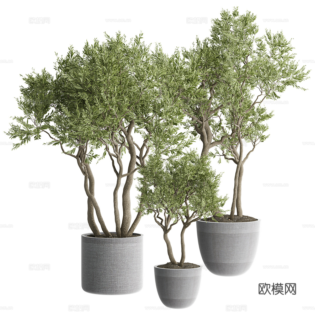 新中式侘寂绿植盆栽3d模型