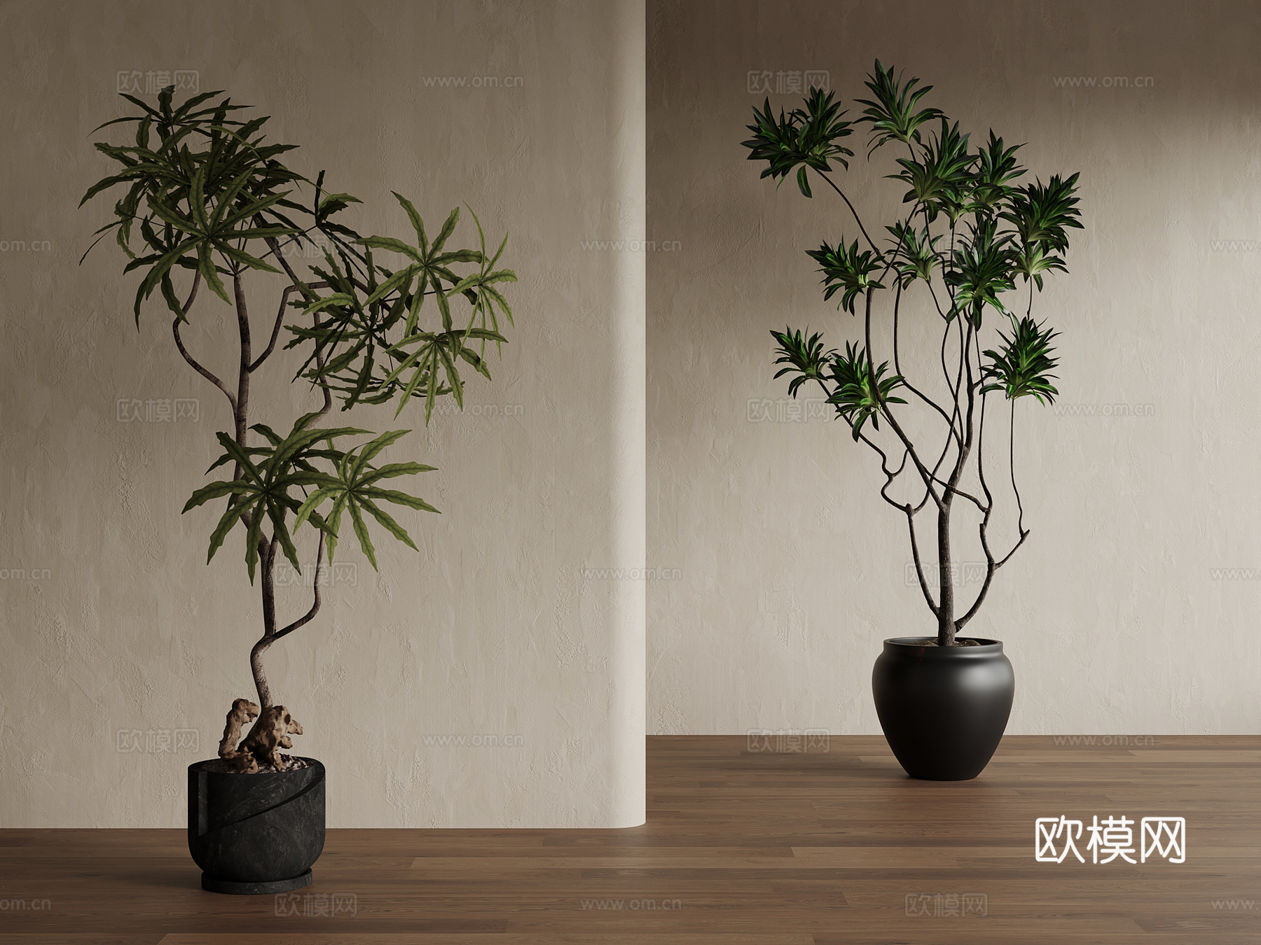 02绿植 中古风绿植 盆栽 树3d模型