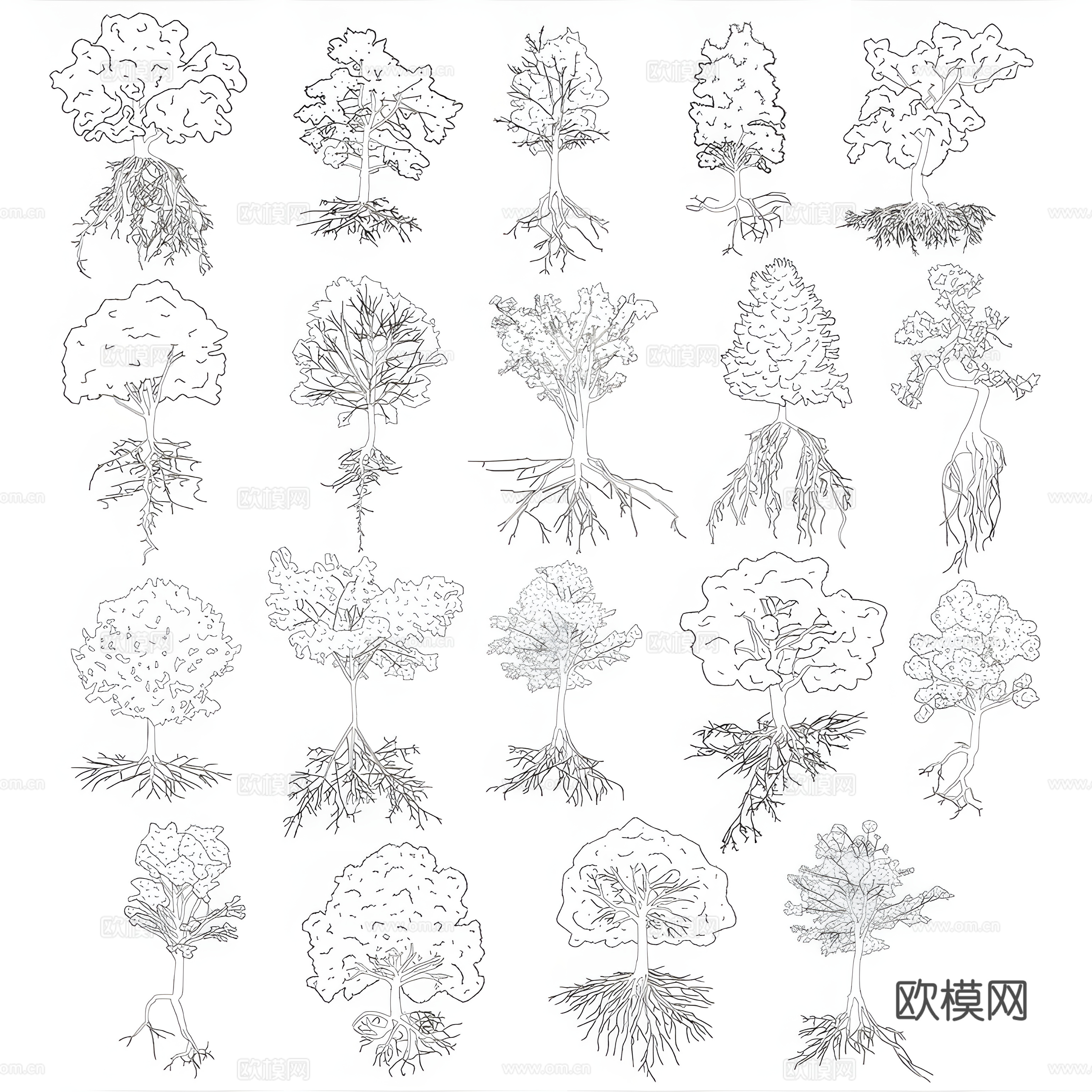 树木CAD 植物CAD素材 植物CAD下载 植物CAD图库cad施工图