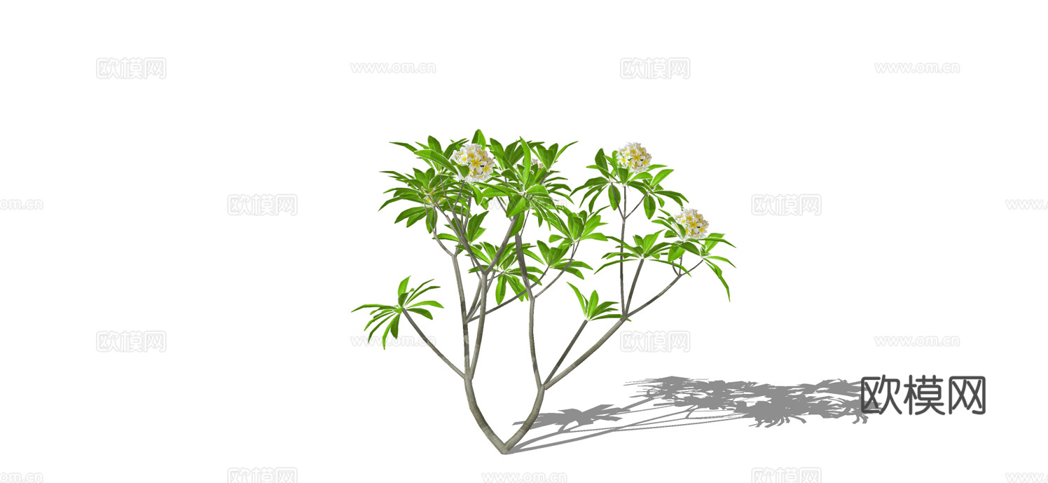 现代景观树su模型下载