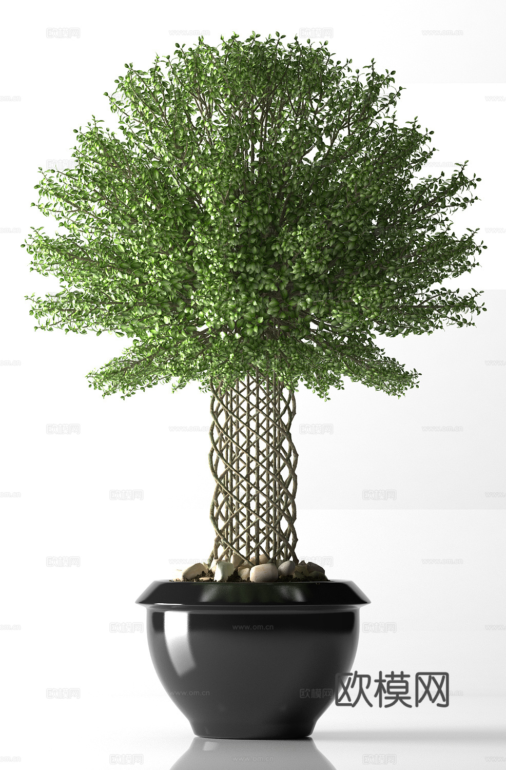 现代盆景  绿植盆栽3d模型