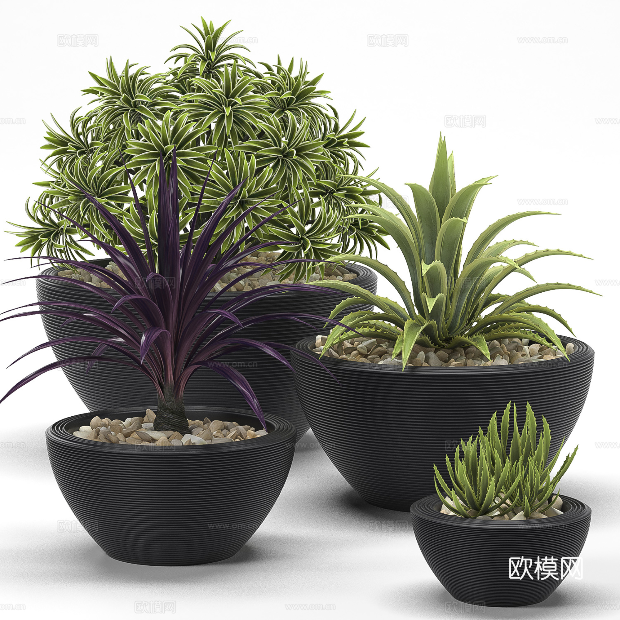 现代盆景  绿植盆栽  室内造景绿植3d模型