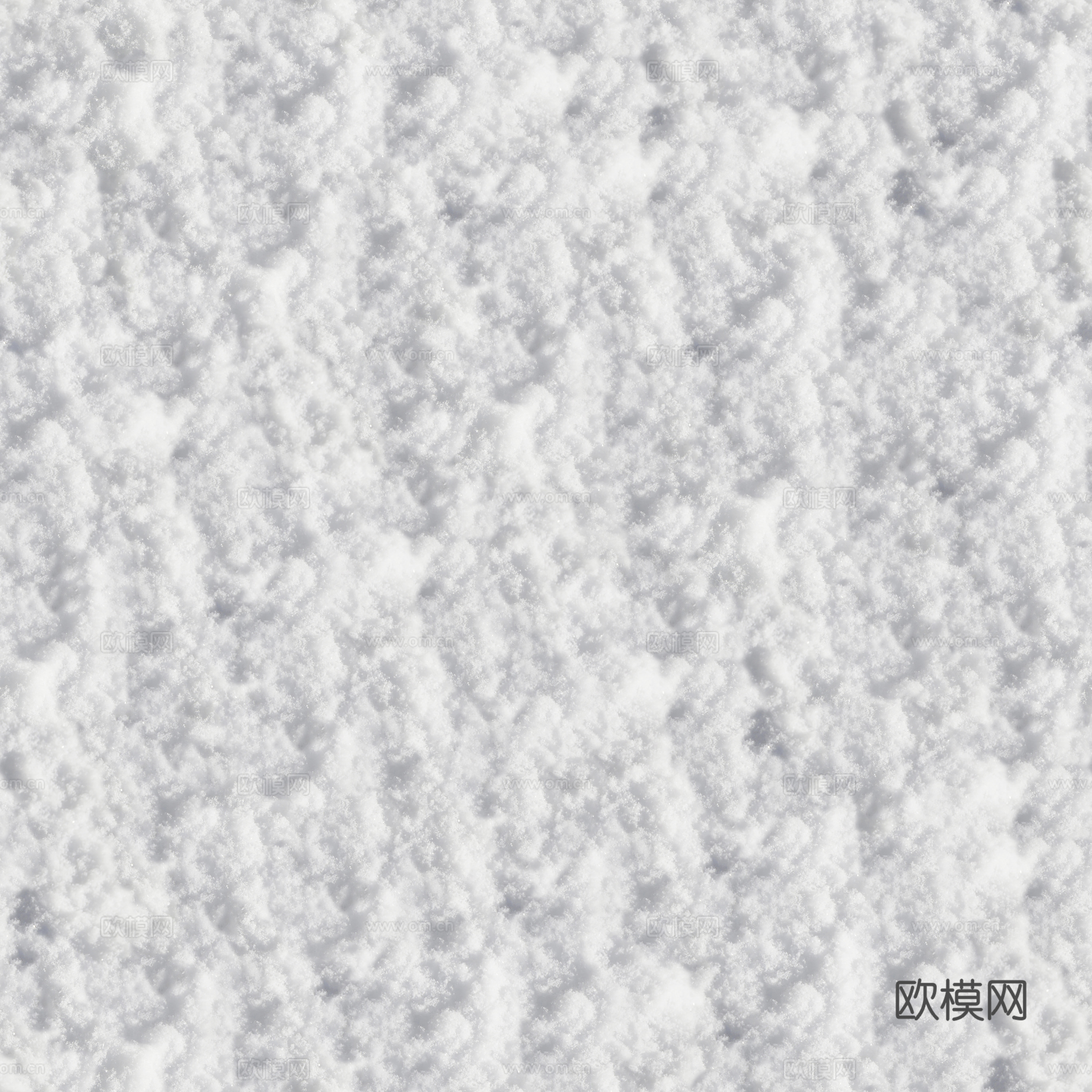 雪地 雪