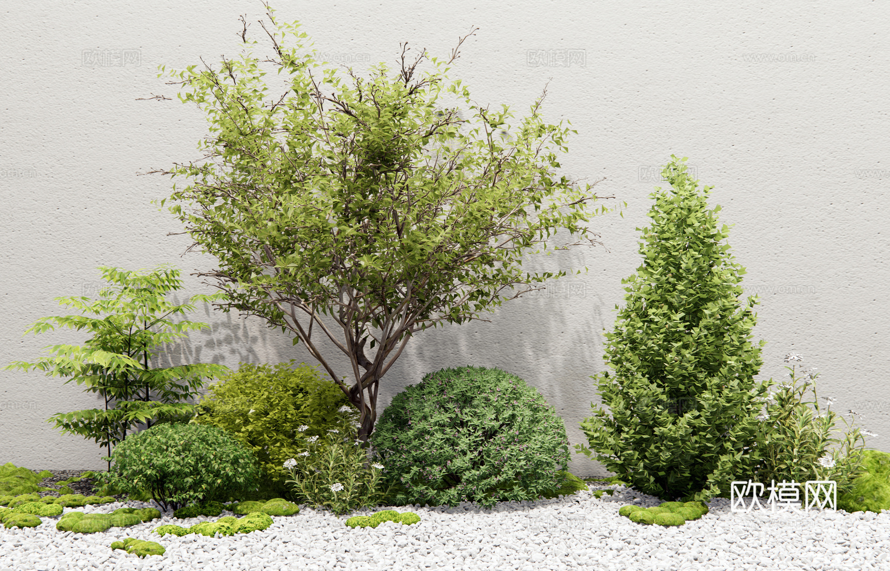 现代灌木 植物组合 灌木球 花草 花境 苔藓3d模型
