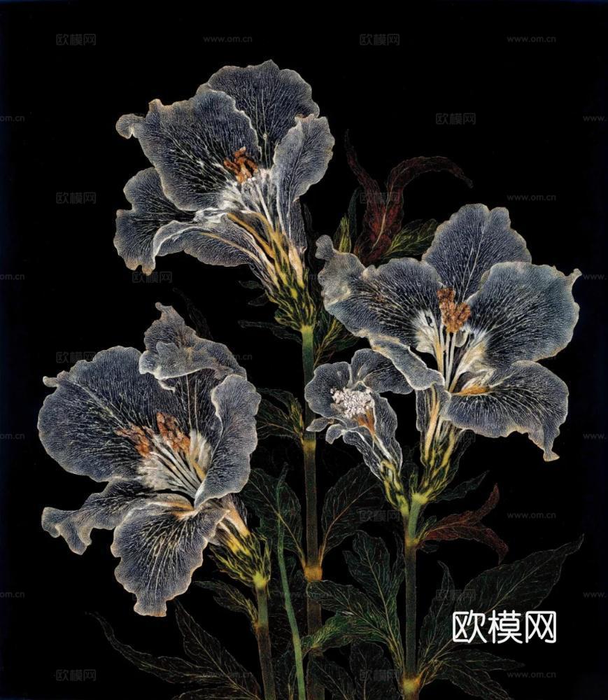 艺术时尚现代挂画