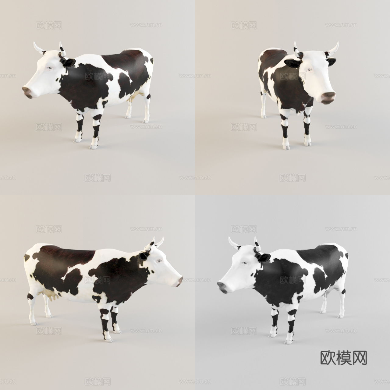 牛 奶牛 动物3d模型