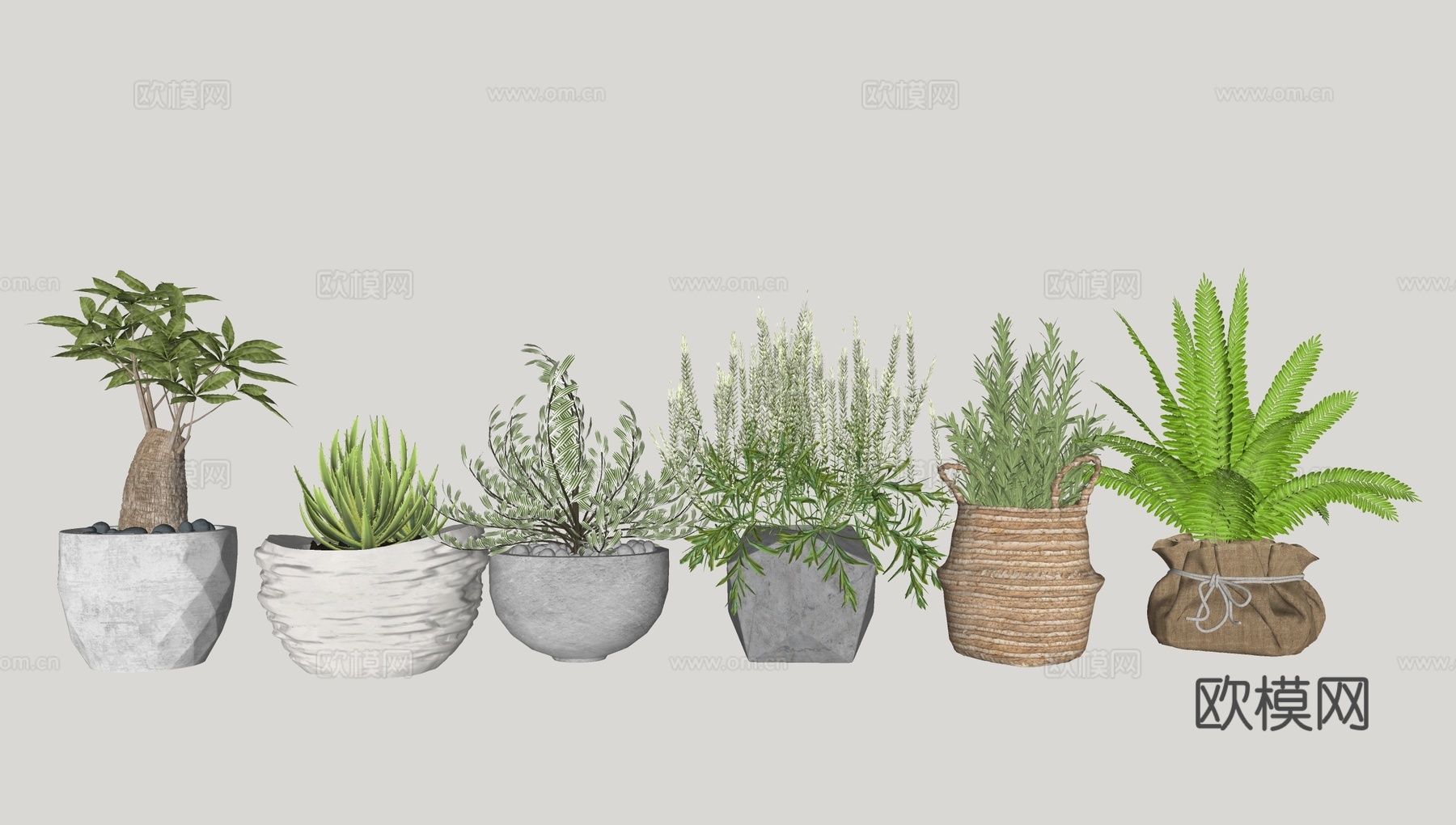 现代绿植盆栽su模型下载