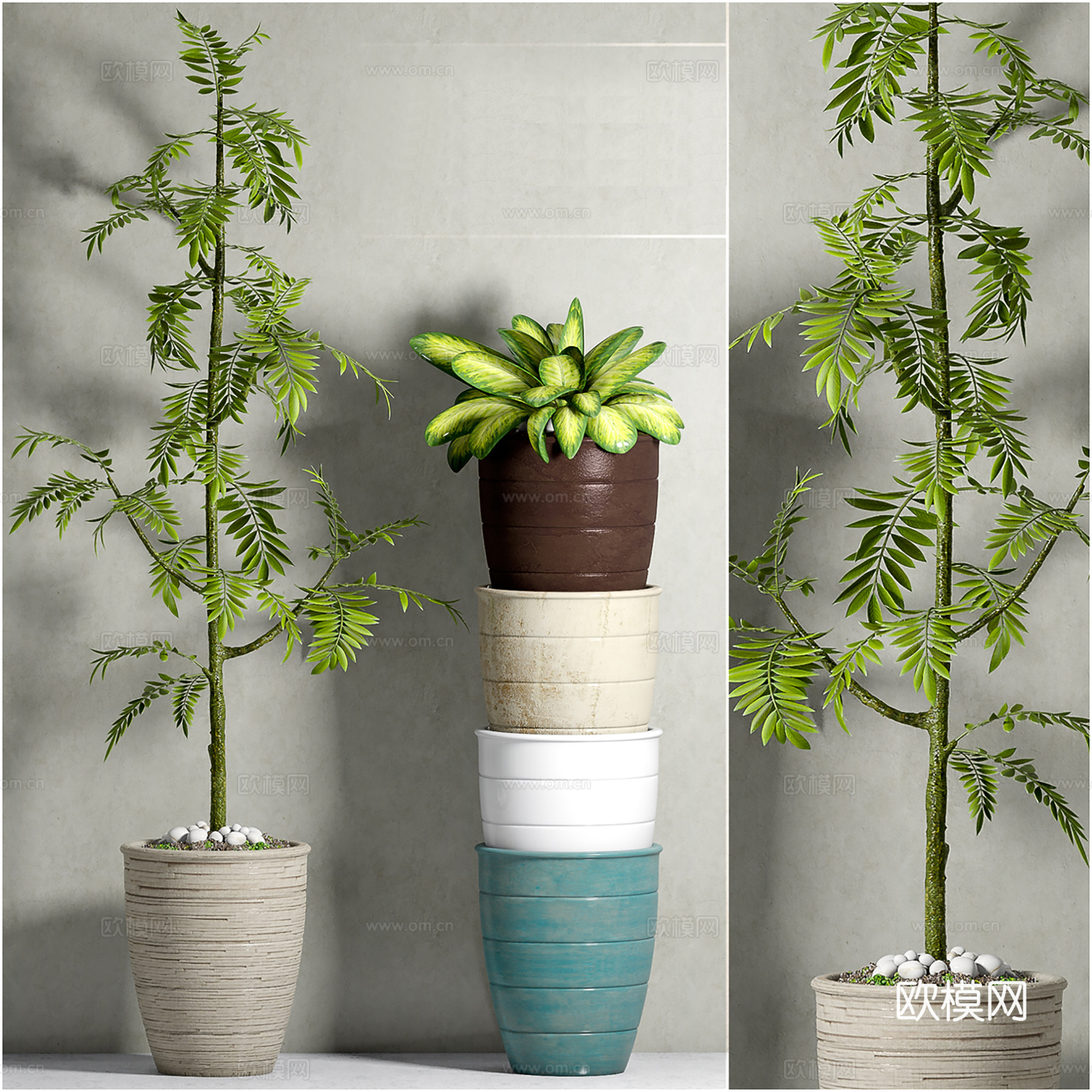 现代盆景  绿植盆栽  室内造景绿植3d模型