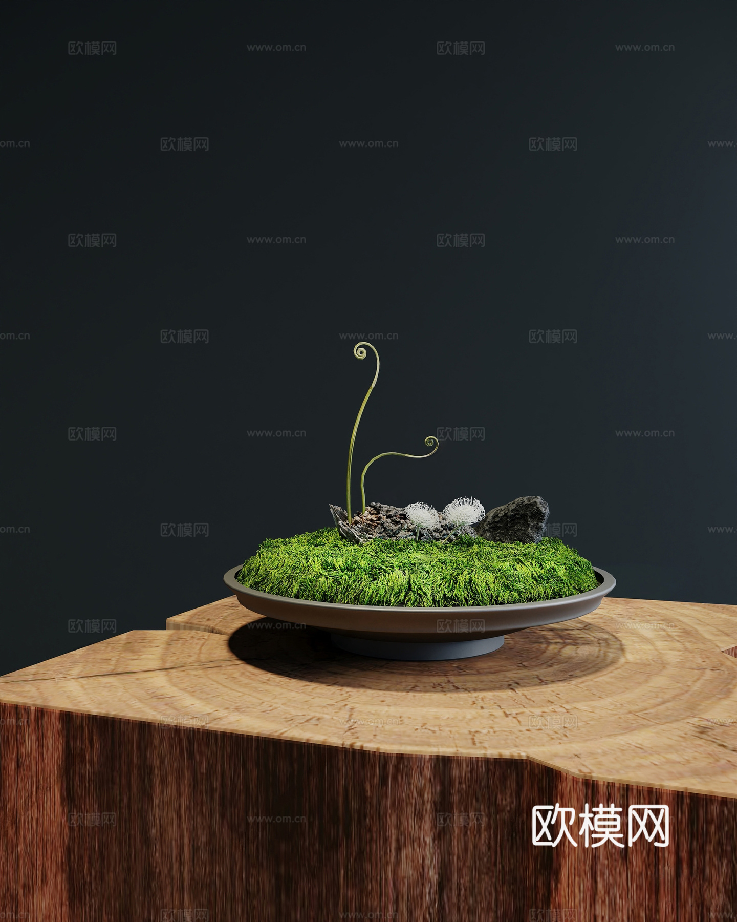 现代苔藓盆景 苔藓 盆景3d模型