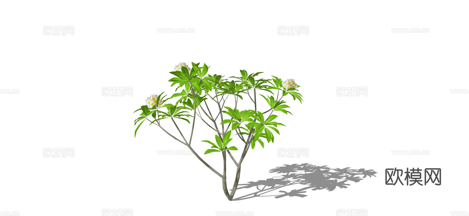 现代景观树su模型下载