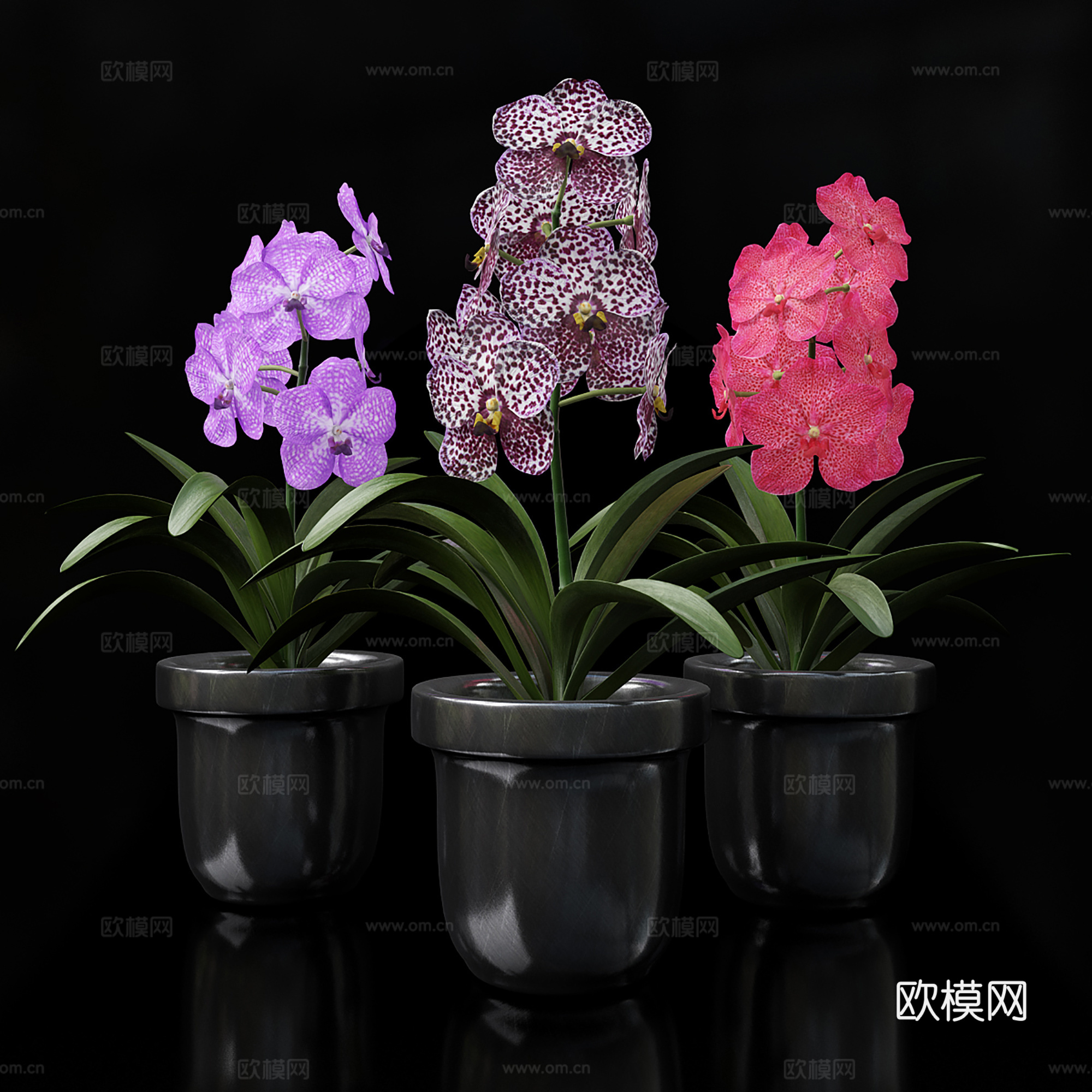 现代盆景  绿植盆栽 花瓶花艺3d模型