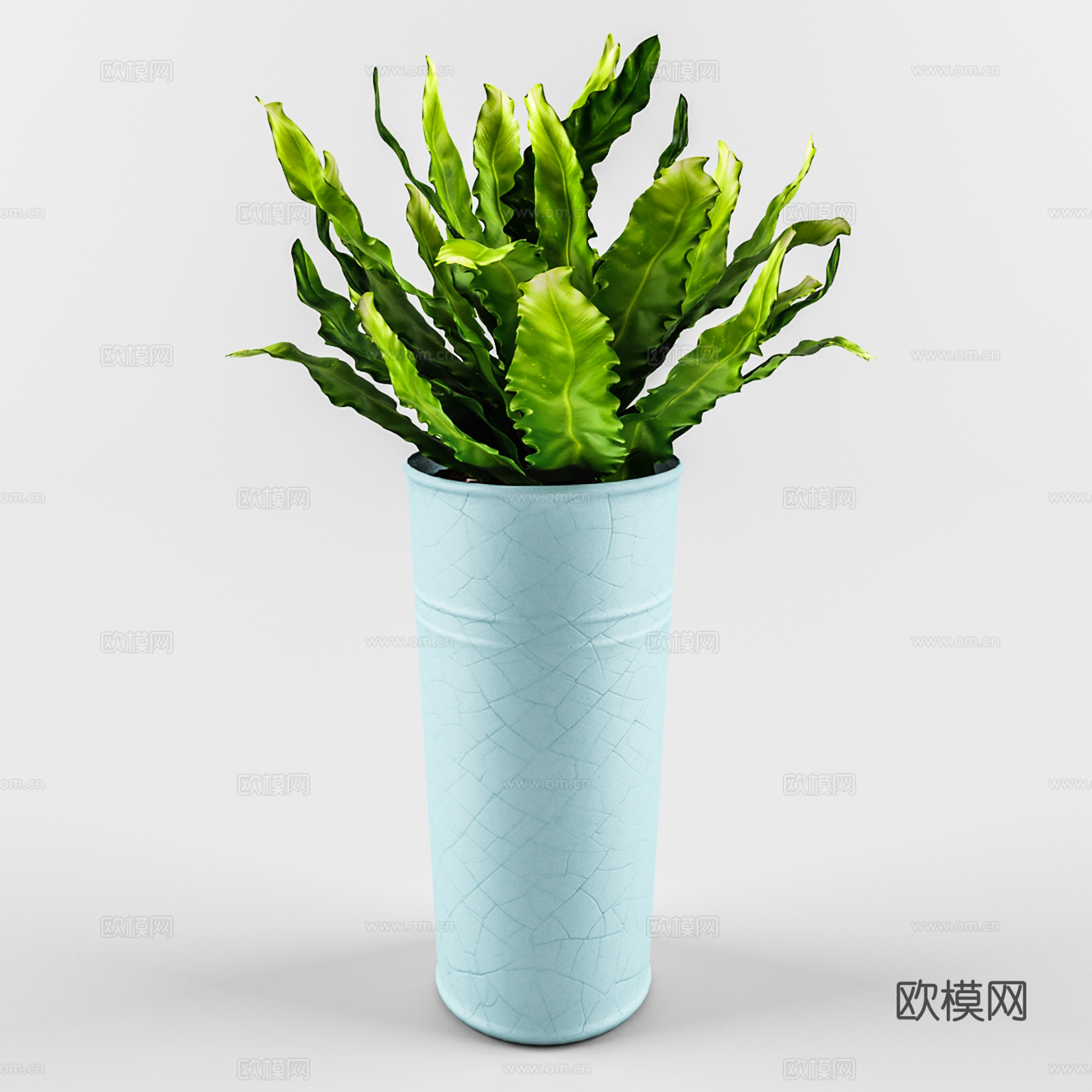 现代盆景  绿植盆栽  室内造景绿植3d模型