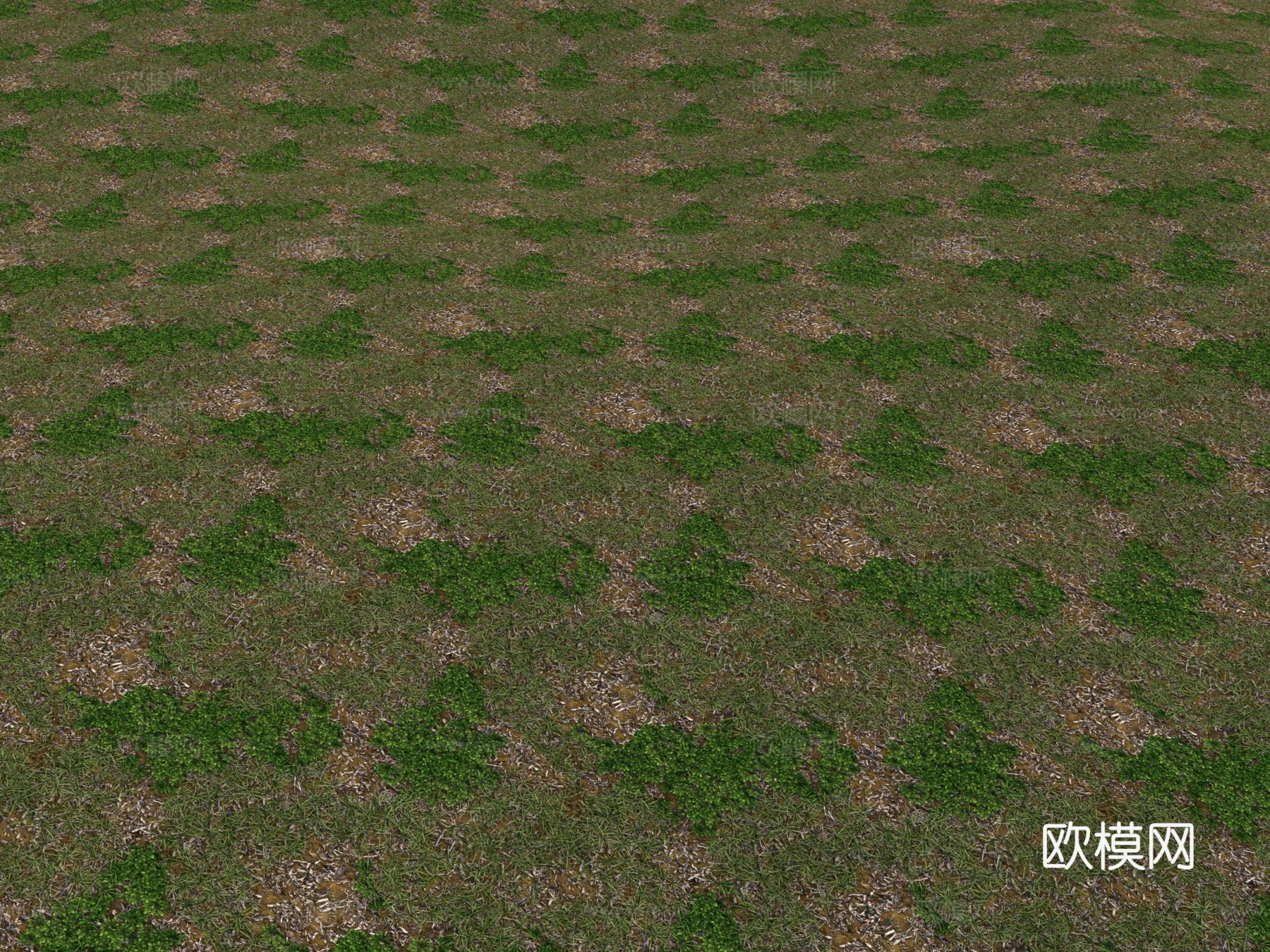 草地 草坪 植被3d模型