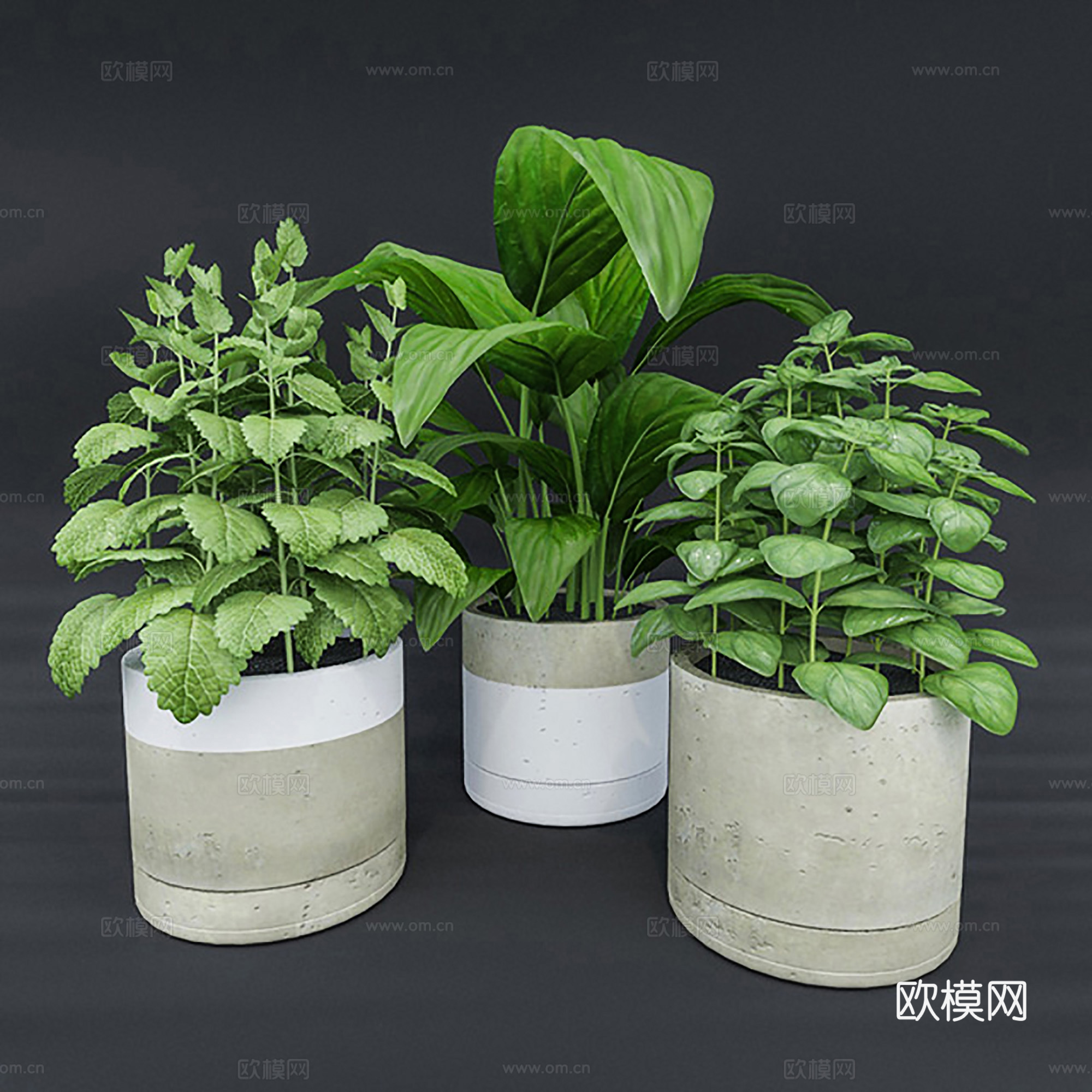 现代盆景  绿植盆栽  室内造景绿植3d模型