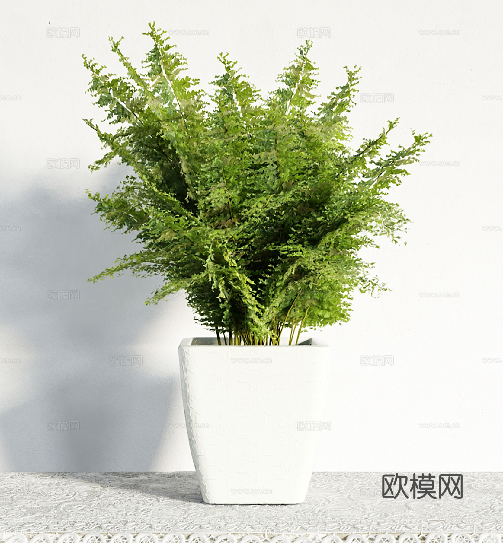 现代盆景  绿植盆栽  室内造景绿植3d模型