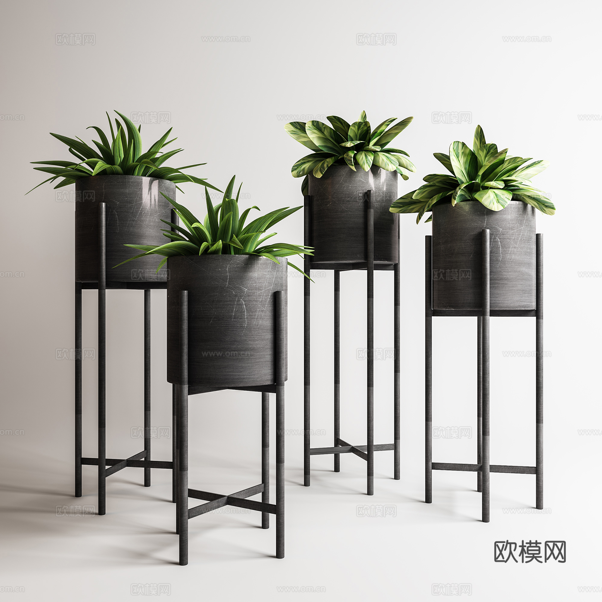 现代盆景  绿植盆栽  室内造景绿植3d模型