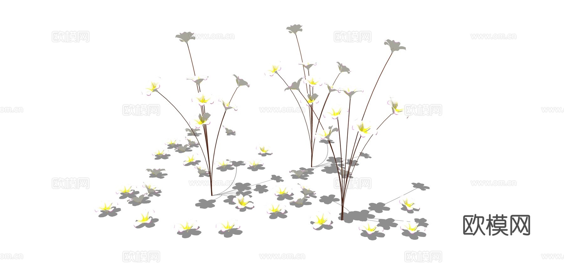 现代花草su模型下载
