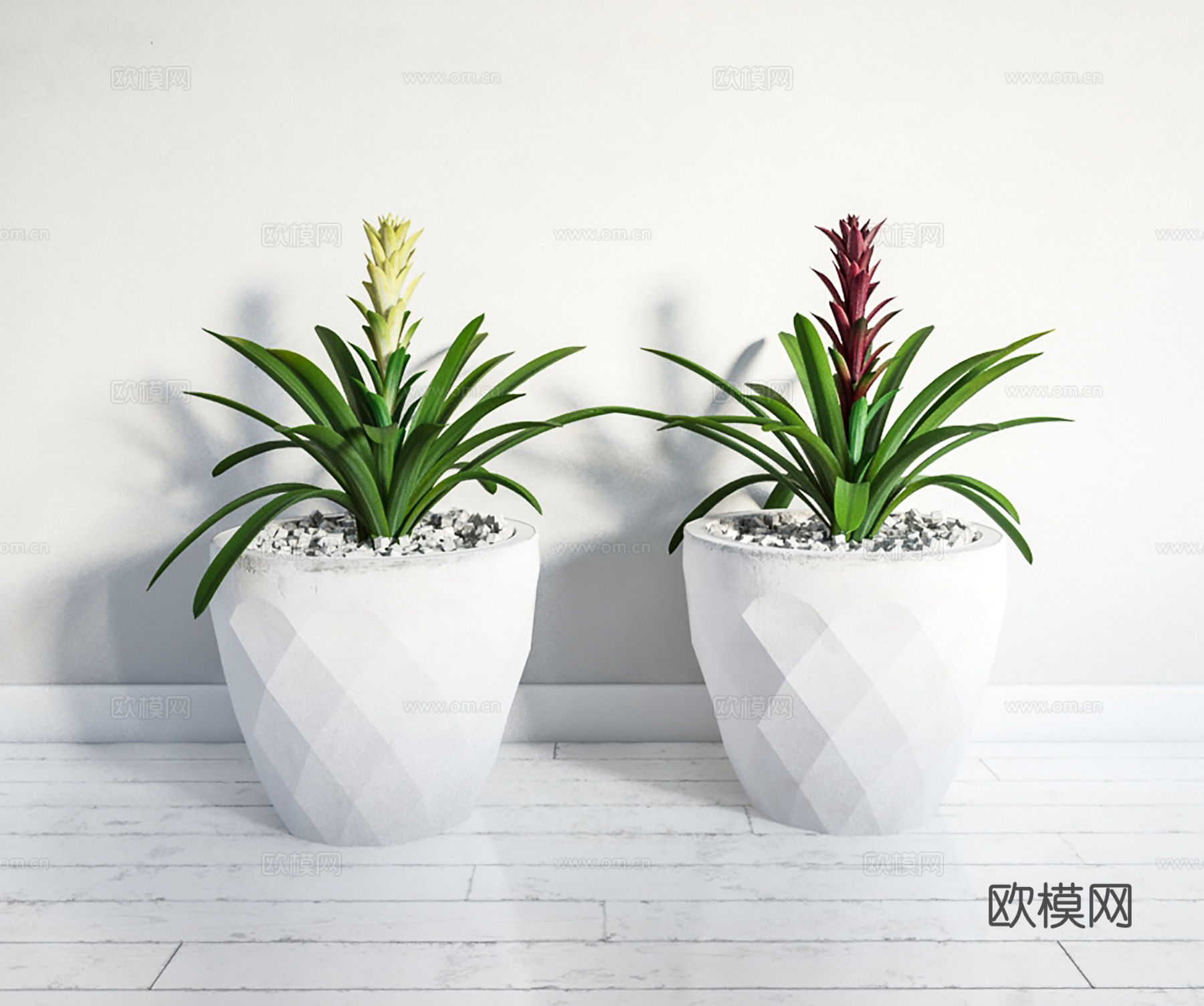 现代盆景  绿植盆栽  室内造景绿植3d模型