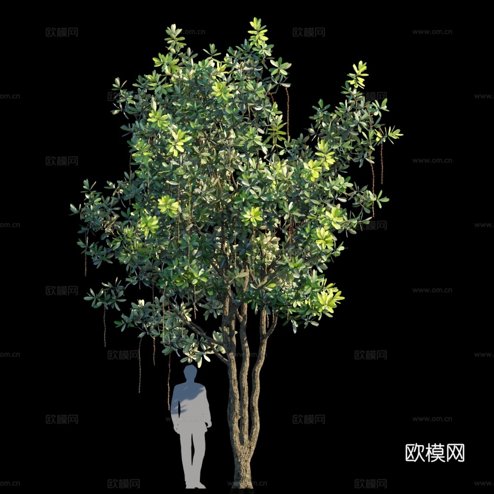 树 绿植 树木3d模型