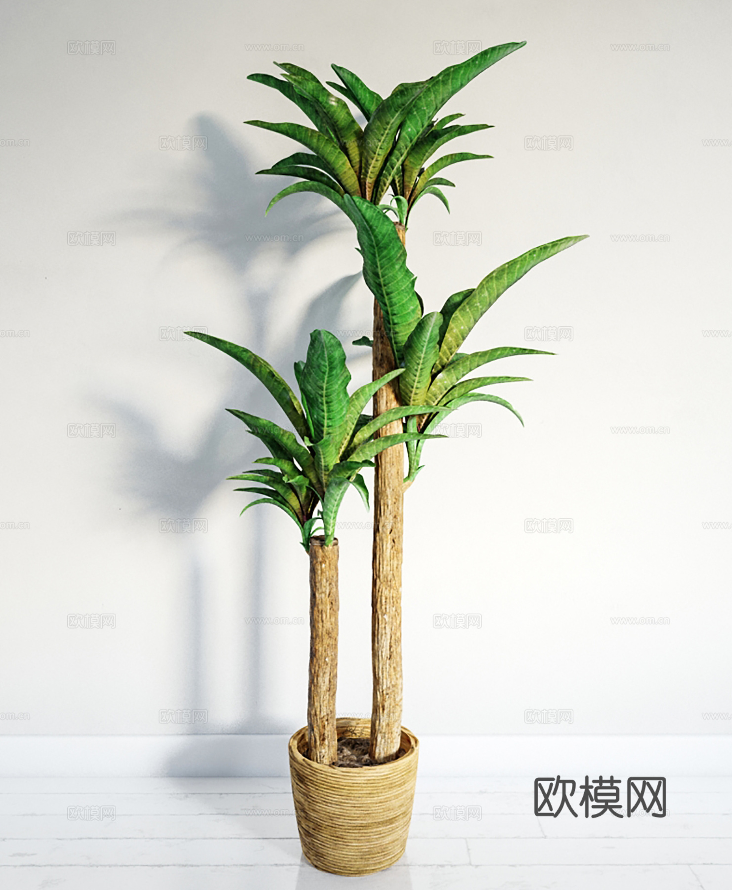 现代盆景  绿植盆栽  室内造景绿植3d模型