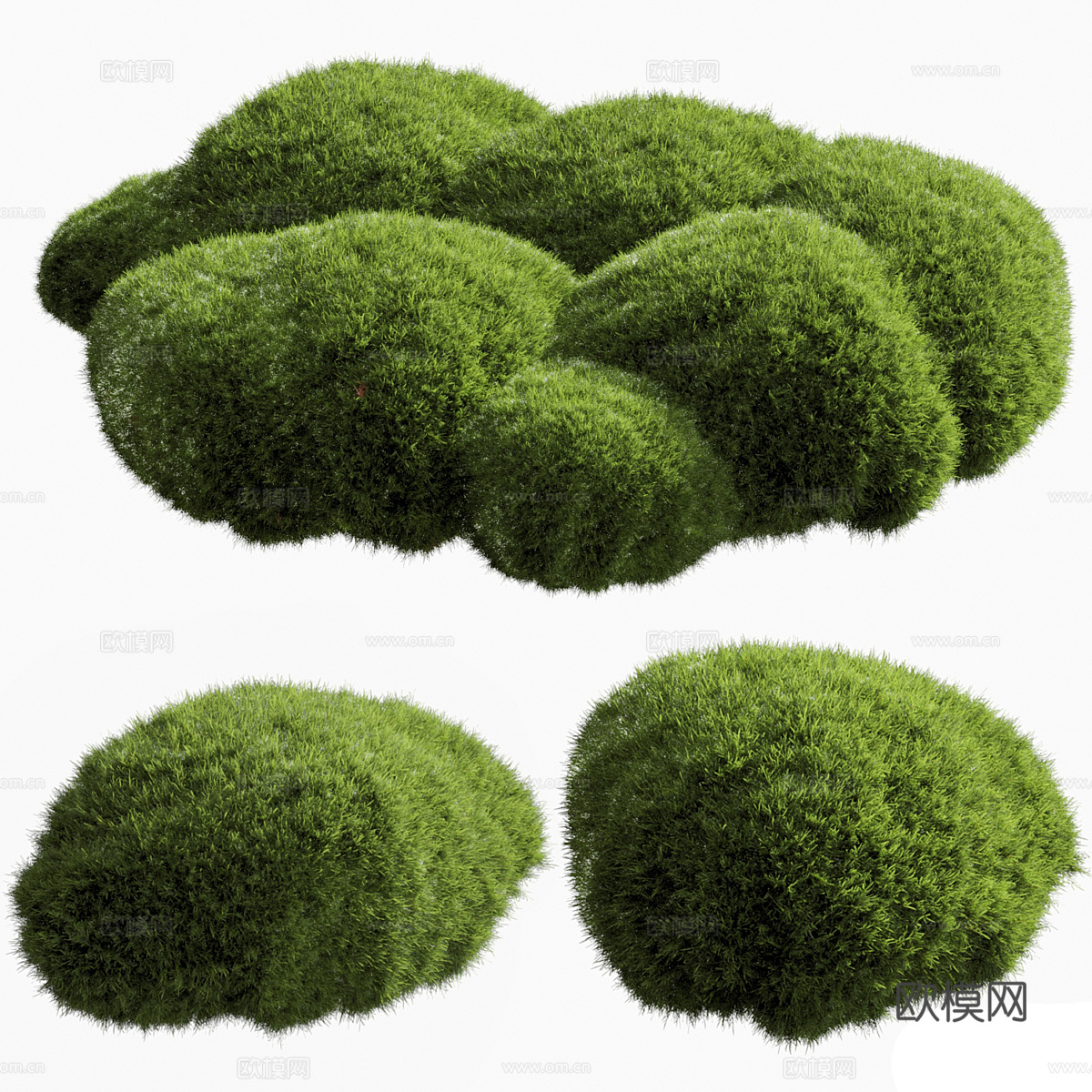 灌木3d模型