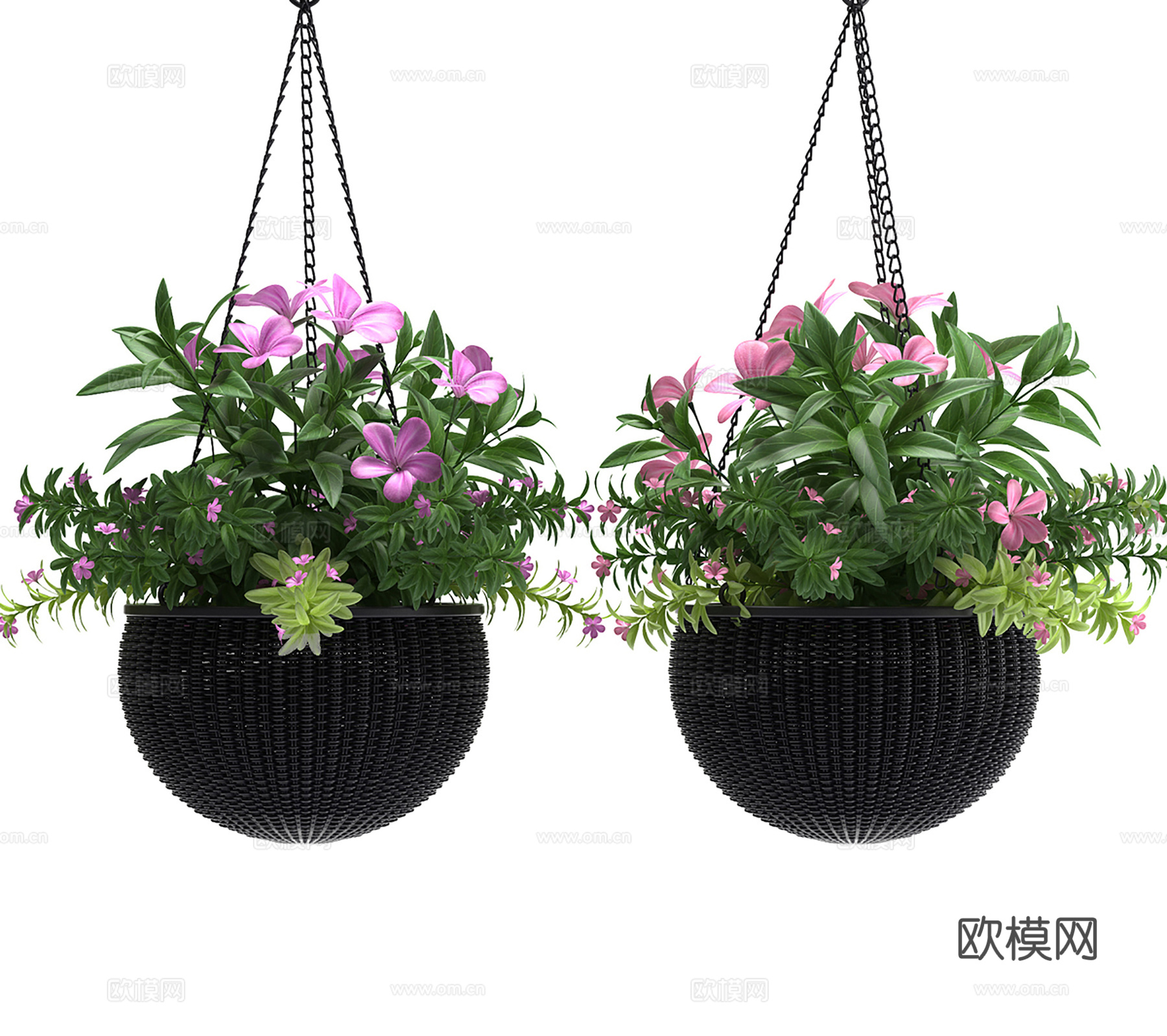 现代吊篮  绿植盆栽 花草组合3d模型