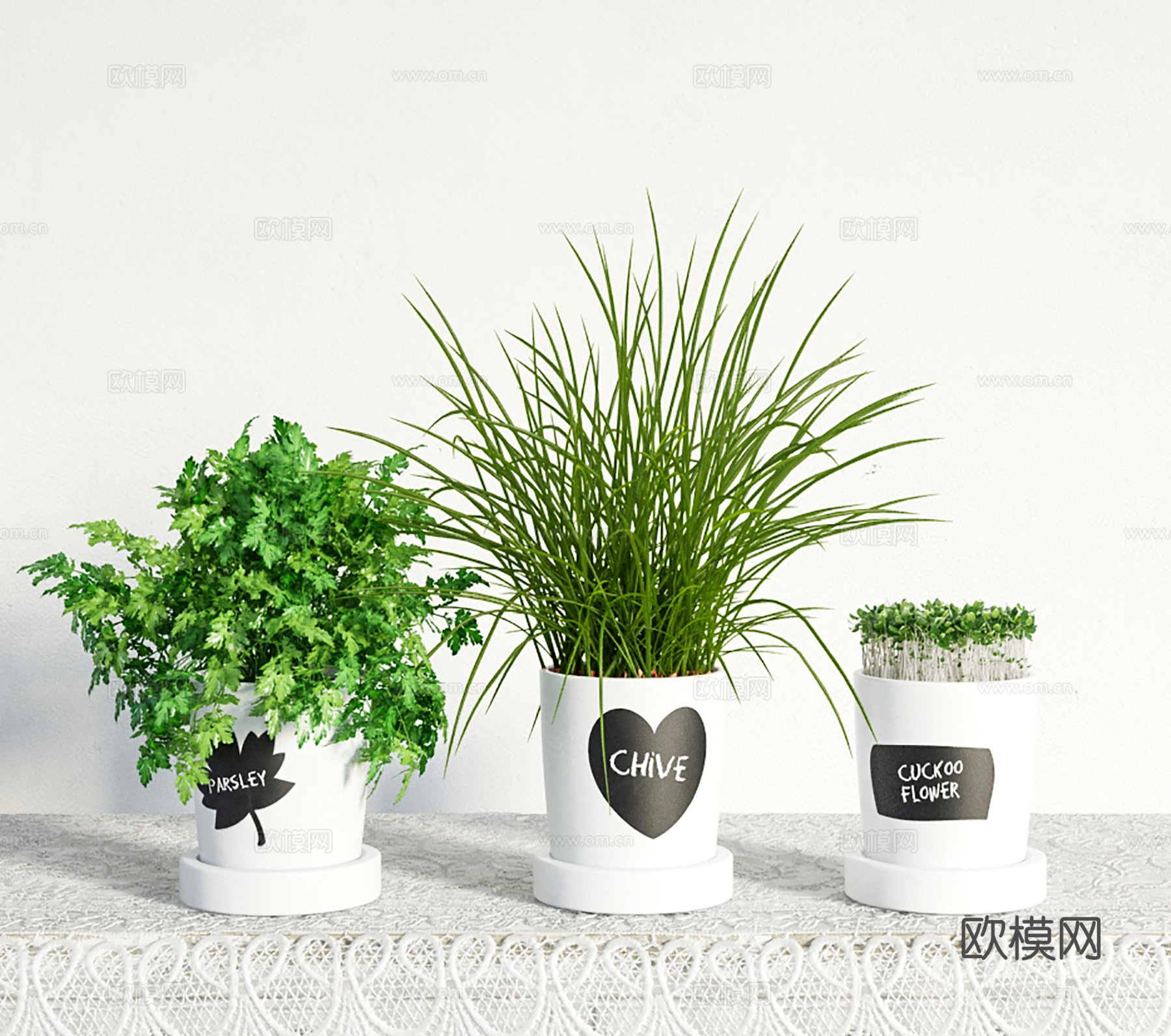 现代盆景  绿植盆栽 盆栽组合3d模型