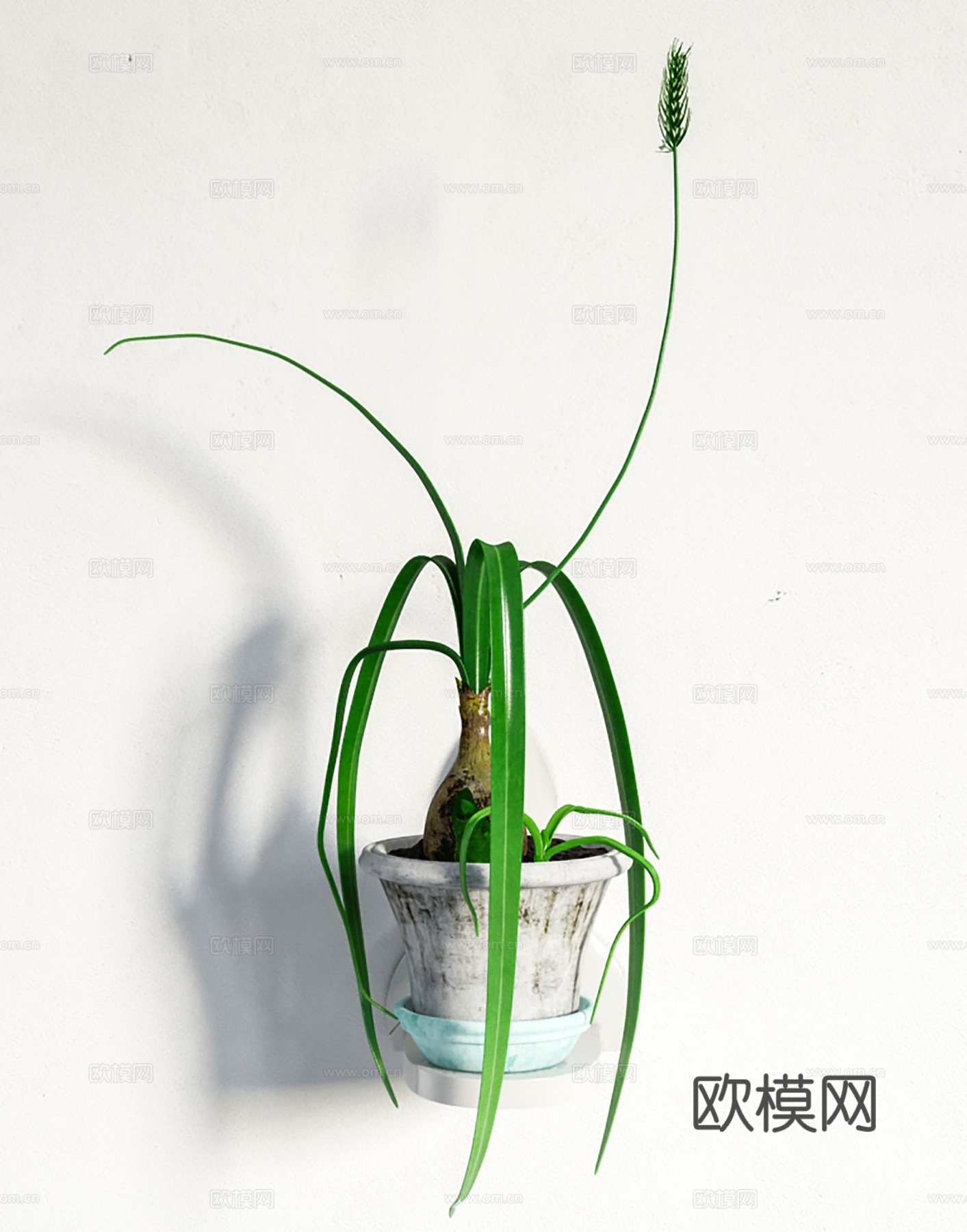 现代盆景  绿植盆栽3d模型