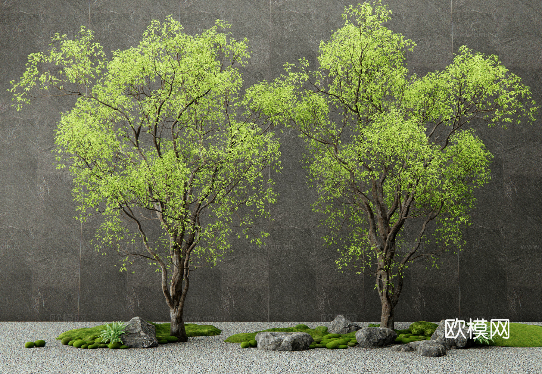 现代景观树 乔木 庭院树 造型树 苔藓 石头 景观小品su模型