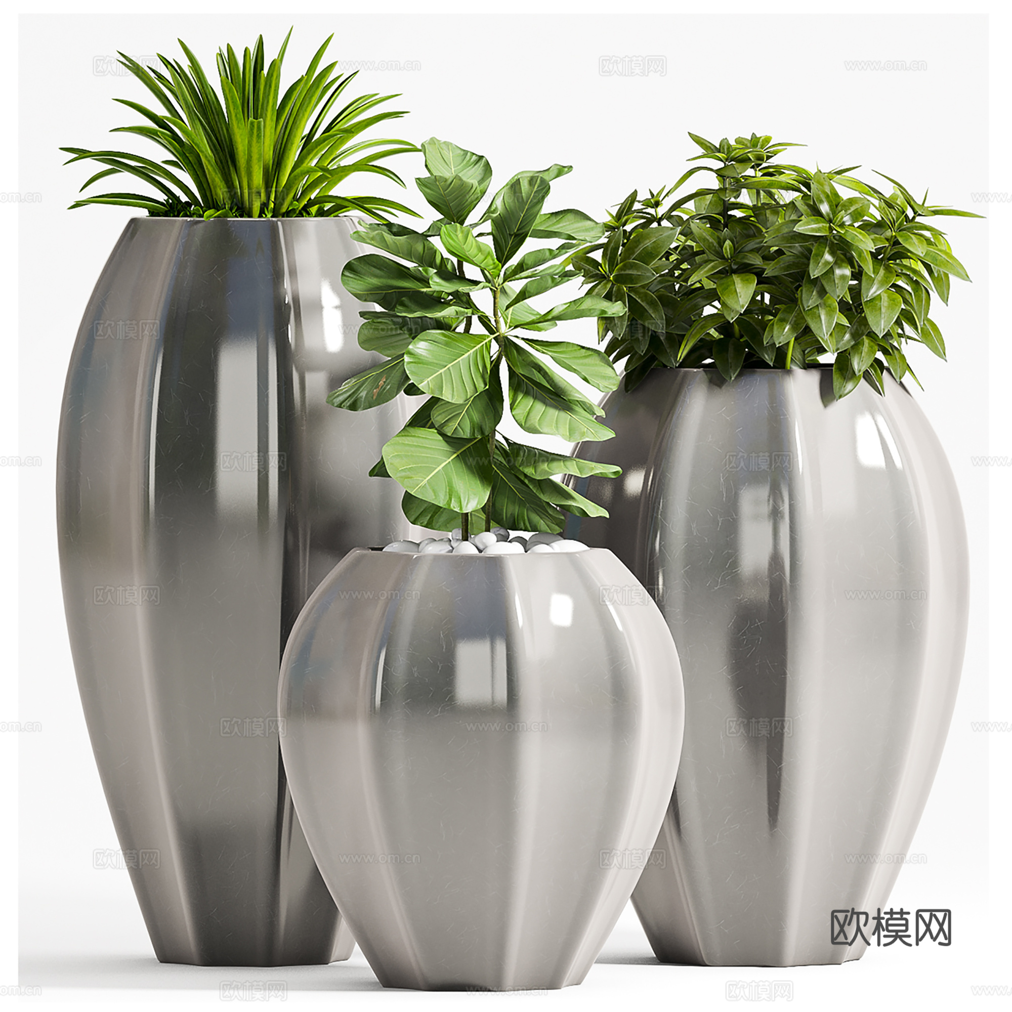 现代盆景  绿植盆栽  室内造景绿植3d模型