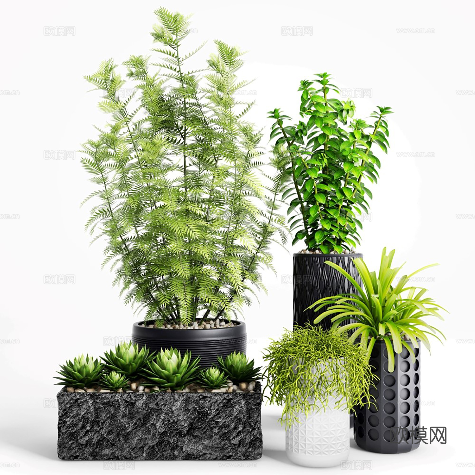 现代盆景  绿植盆栽  室内造景绿植3d模型
